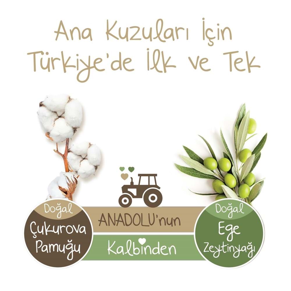 Baby Turco Külot Bebek Bezi Doğadan Beden:4 (8-14KG) Maxi 540 Adet Dev Avantaj Pk